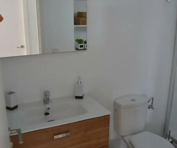 Apartment Flower Deluxe